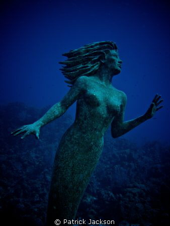 The Mermaid of Sunset Reef by Patrick Jackson 