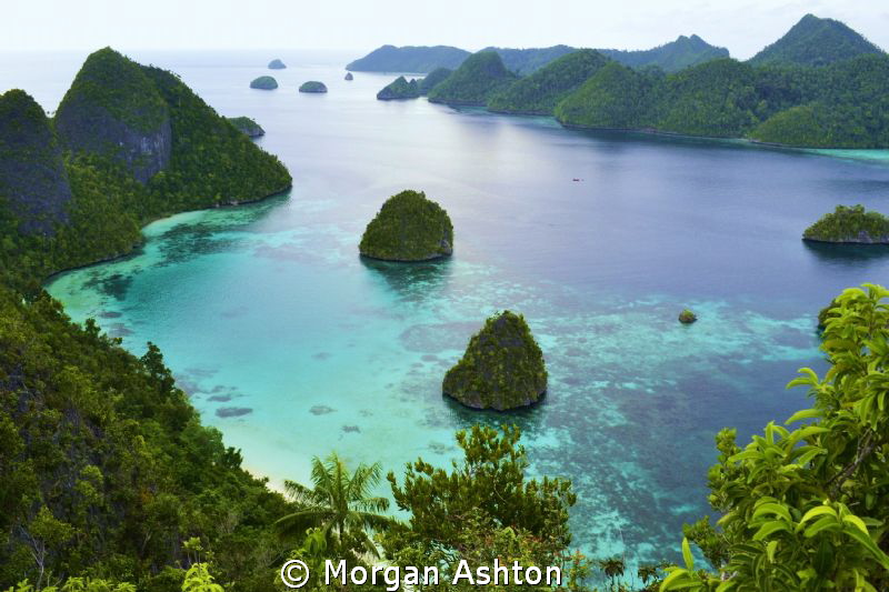 Wayag Island view after a long, steep hike up lava rock a... by Morgan Ashton 