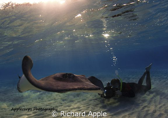 Mikko Gets The Ray Shot! by Richard Apple 