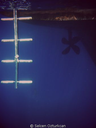Stairway to Heaven by Selcen Ozturkcan 