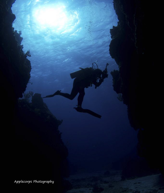 The Underwater Photographer by Richard Apple 