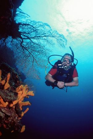 Dad in Palancar, Cozumel!

Great is to shoot your own d... by Erich Reboucas 