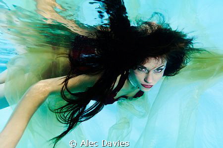 Aisha.
Shot in pool. Nikon D300, Sea & Sea housing, 110a... by Alec Davies 