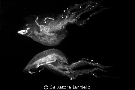 riflesso by Salvatore Ianniello 