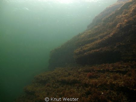 canon g12 
iso 100
1/50 sek
2,8 f by Knut Wester 