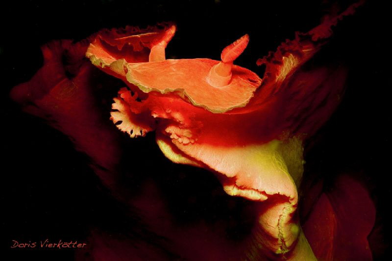 Dancing by Doris Vierkoetter 