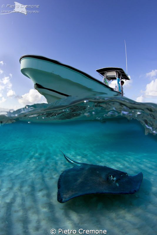 Underboat by Pietro Cremone 