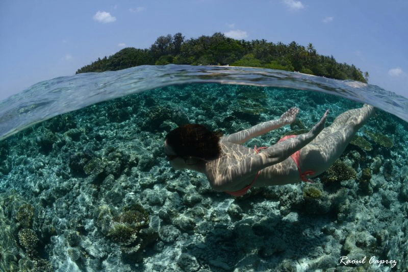 Biyadhoo house reef by Raoul Caprez 