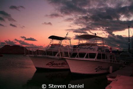 Dive Boats Moored by Steven Daniel 