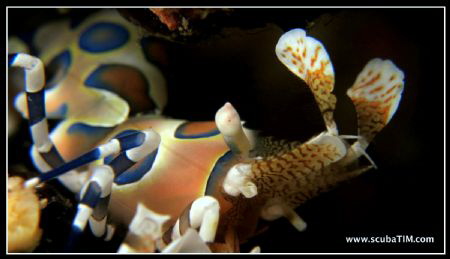 Please step back, i cant get you into frame...

Canon S... by Tim Ho 