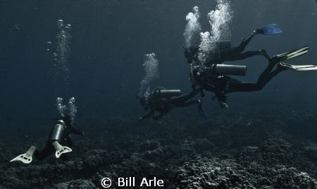 Big Island, Hawaii. by Bill Arle 