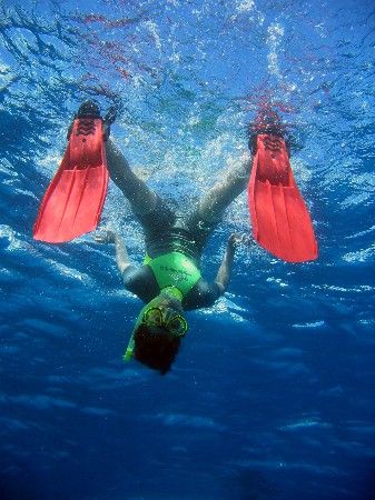 Snorkeling in Dolphin House - Egypt by Wijnand Plekker 