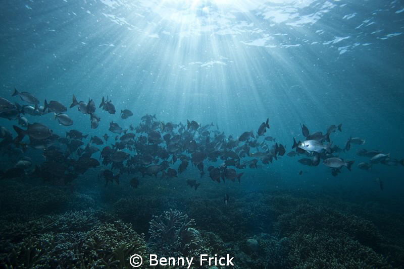 A nice day in Sipadan.  Canon 5D   17mm by Benny Frick 