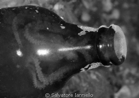 riparo trasparente by Salvatore Ianniello 