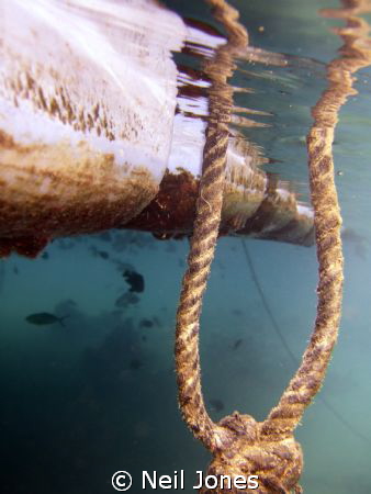 Below the Jetty @ Sharm El Sheik - Fuji F30 No Strobe. Th... by Neil Jones 