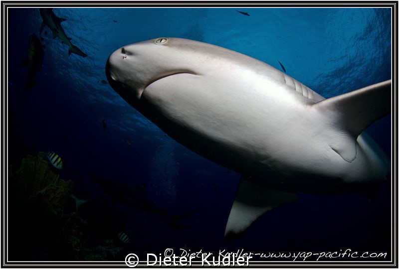 Out of the dark. by Dieter Kudler 