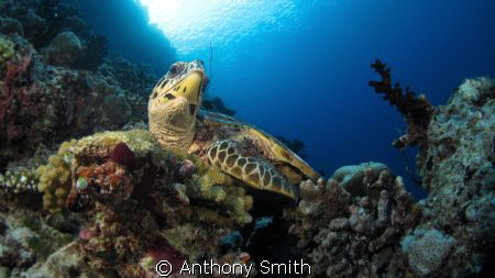 What do u want from me?.... by Anthony Smith 