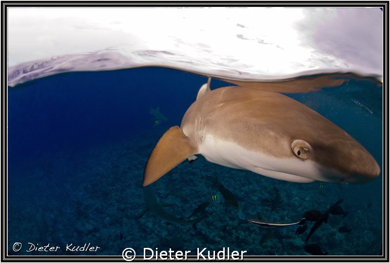 Vertigo, Yap Island, Micronesia by Dieter Kudler 