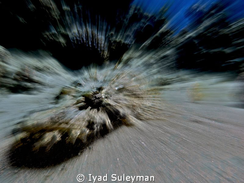 "All-seeing eye"
No Photoshop
Results of Workshop with ... by Iyad Suleyman 