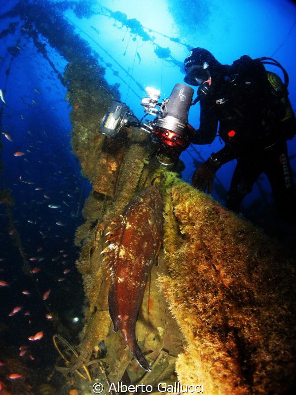 A big grouper on the Joker wreck (sailboat) by Alberto Gallucci 