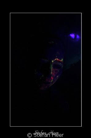 Neon-Fluo-Shot with UV-Light. Nikon D90 and UK-Germany ho... by Stefan Heer 