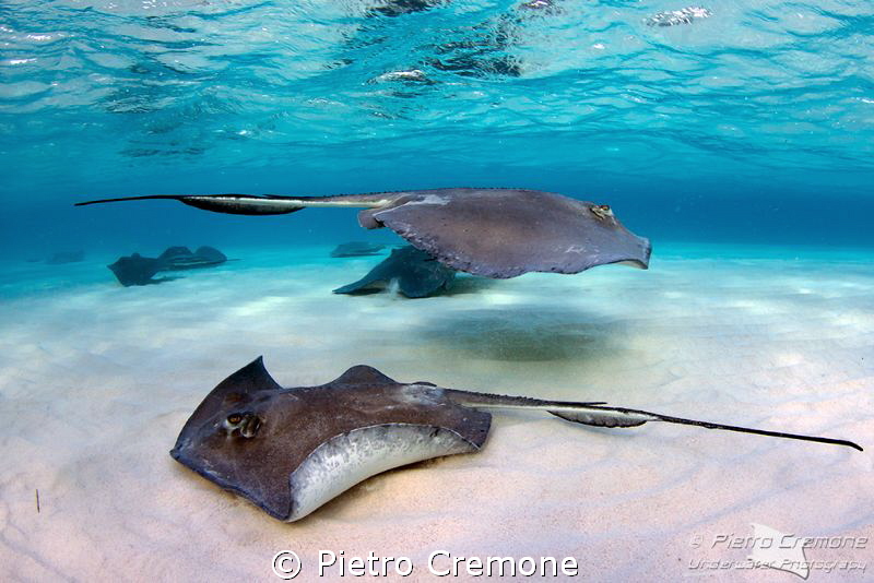 Two Ways by Pietro Cremone 