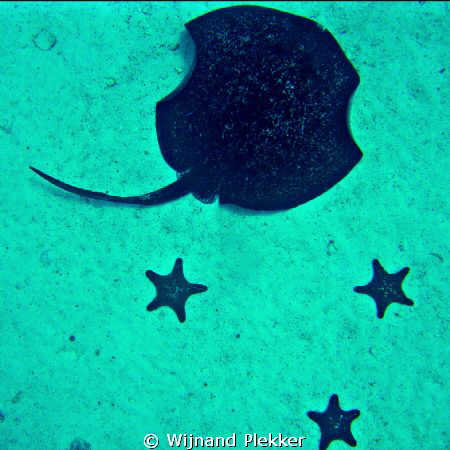 This should be the national flag of Cocos Island. by Wijnand Plekker 
