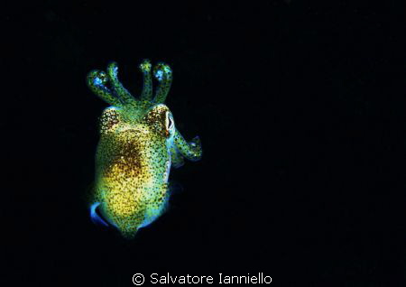 small and small by Salvatore Ianniello 