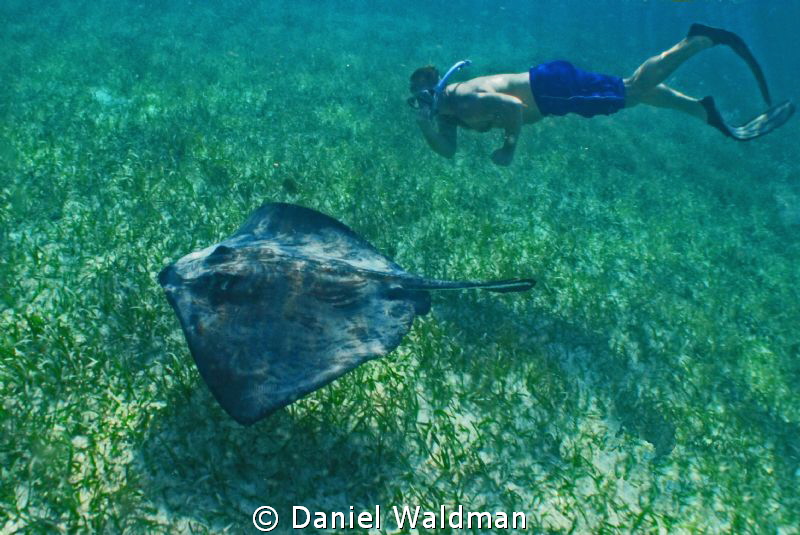 I took this shot with a Canon G11 with a Canon Housing, M... by Daniel Waldman 