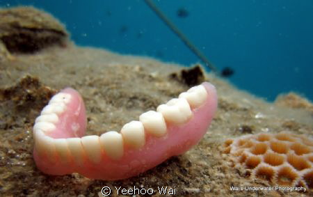 A gift from the snorkeler above..... by Yeehoo Wai 
