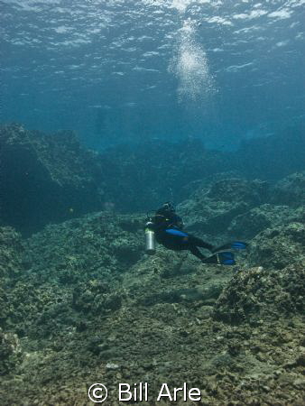 Dive leader, Shannon.  Kohala Divers. Big Island, Hawaii. by Bill Arle 