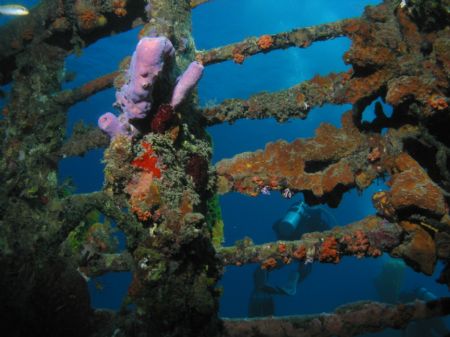 A military wreck called the "Mike Boat"
in the bay at GT... by John Thompson 