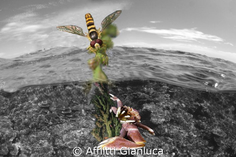 in & aut by Afflitti Gianluca 