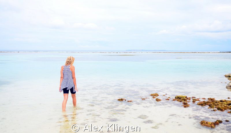 Out for a walk in my backyard. by Alex Klingen 