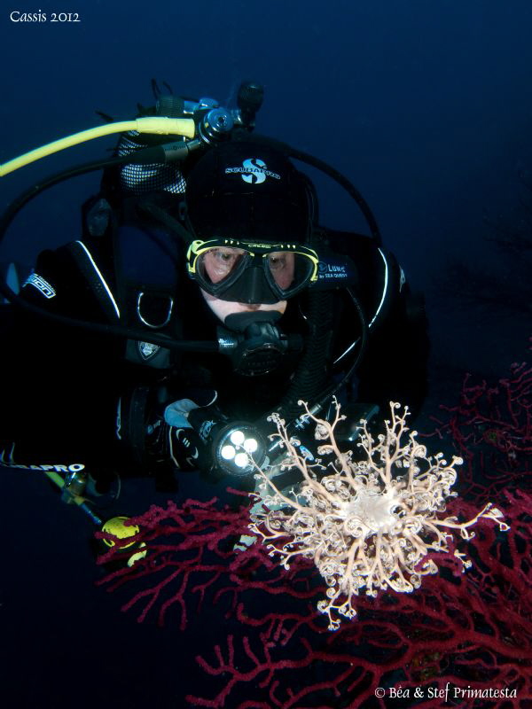 My wife Béatrice looking at "Astropartus mediterranea" by Stéphane Primatesta 