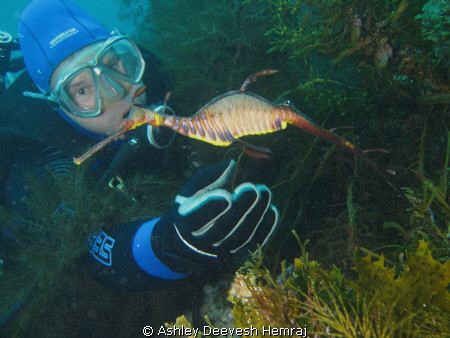 First time I've seen a weedy. this was off snug cove at k... by Ashley Deevesh Hemraj 