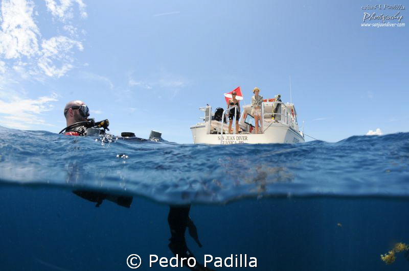 Another day in the paradise! by Pedro Padilla 