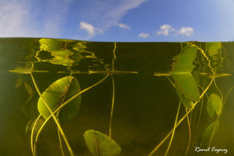 Green vs Blue by Raoul Caprez 