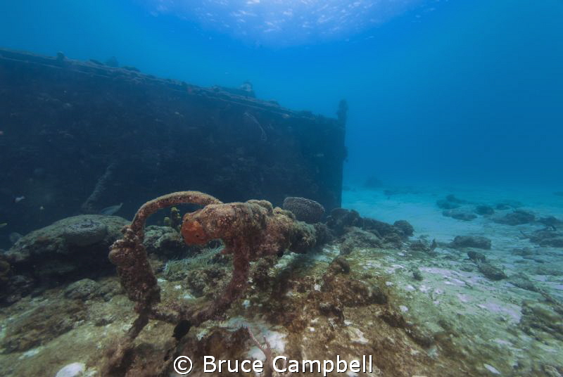 The anchor that got left behind by Bruce Campbell 
