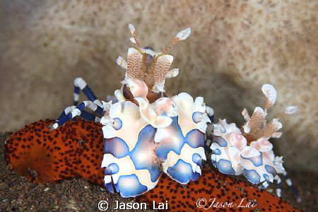 Save the best for last by Jason Lai 