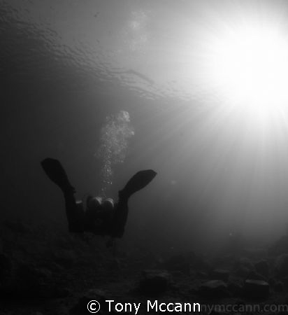 A cold Febuary morning in a cool 2 degrees of water, my d... by Tony Mccann 