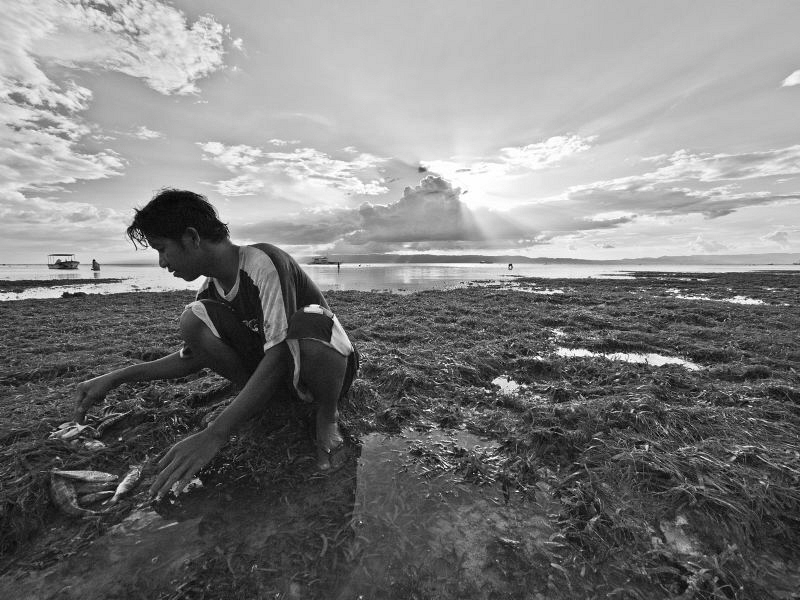 Scant booty for this fisherman on Cabilao Island (Phils) by Alex Varani 