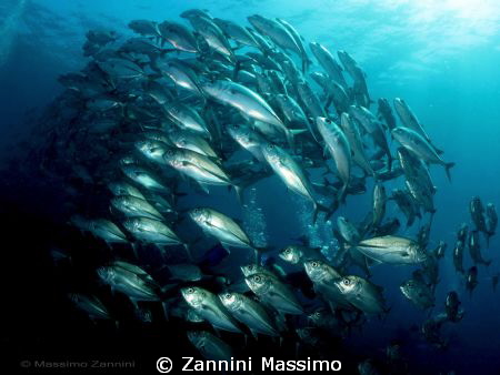 Wreck Liberty - Tulamben by Zannini Massimo 