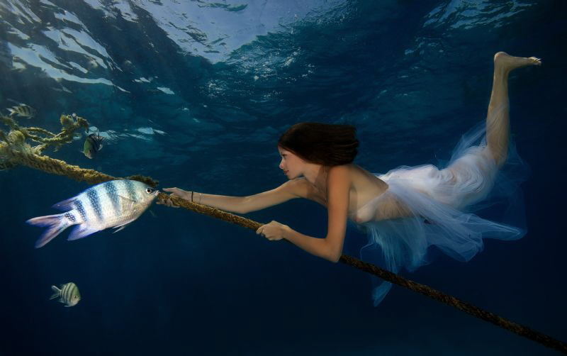 Beauty and the fish by Lucie Drlikova 