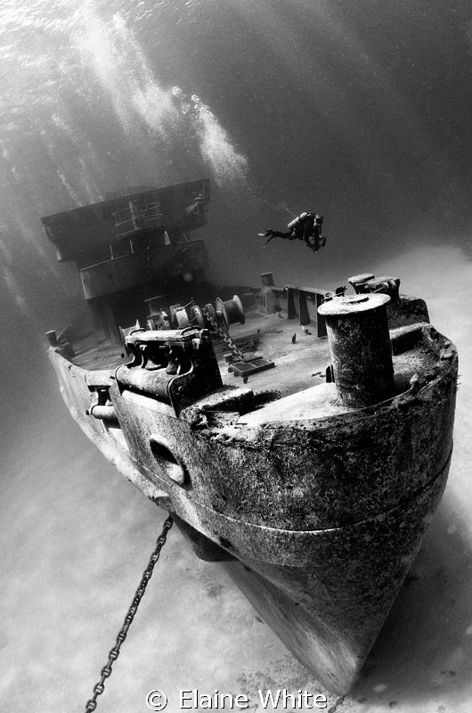 Kittiwake Bow, Grand Cayman.
Nikon D7000. Tokina 10-17 1... by Elaine White 