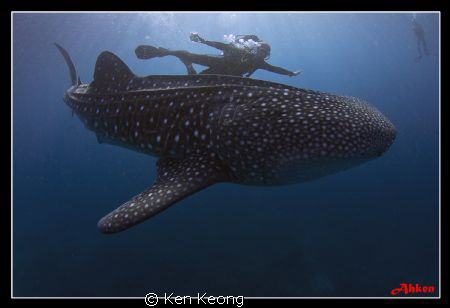 we were so close! by Ken Keong 