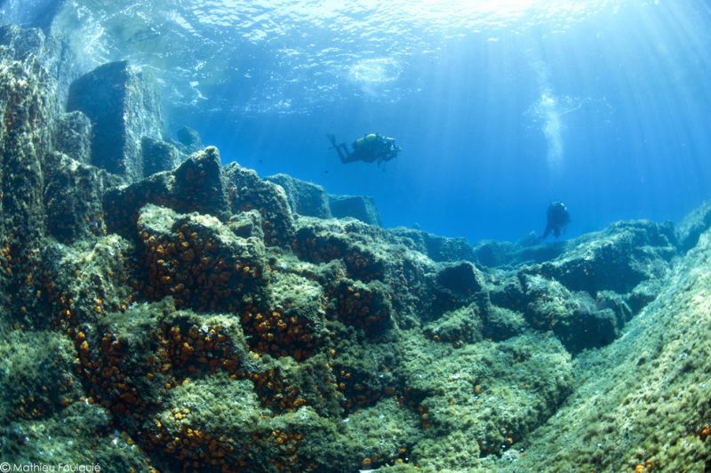 underwater basaltic organs (Algeria) by Mathieu Foulquié 