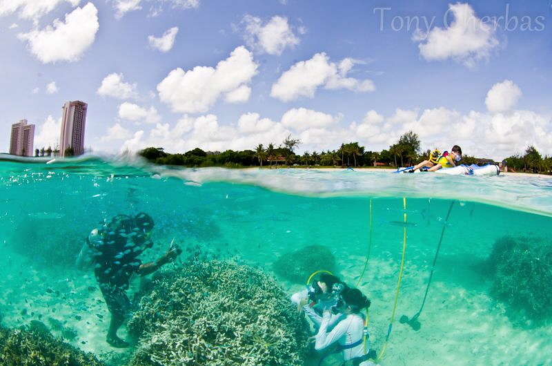 The Tourists by Tony Cherbas 