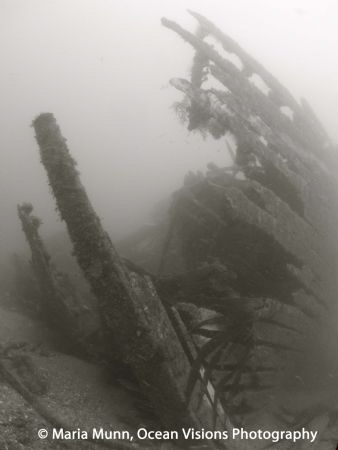Taken at Swanage with Divers Down on my first British Sea... by Maria Munn 