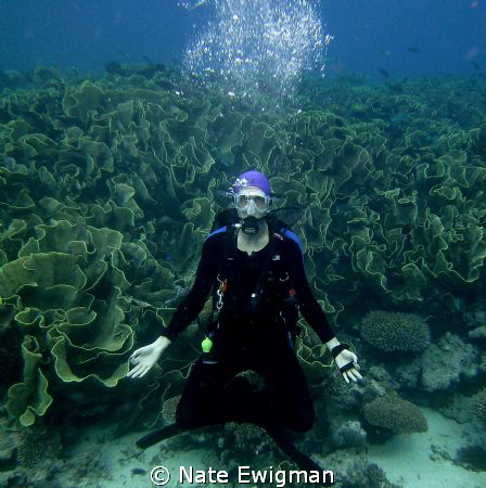 Buddha Diver by Nate Ewigman 